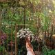 Lush Garden Photoshoot Ideas: Capture Beauty | The Ultimate Gardening Guide: Grow a Thriving Garden Year-Round