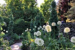 Explore Sakonnet Garden RI: A Coastal Paradise | The Ultimate Gardening Guide: Grow a Thriving Garden Year-Round