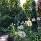Explore Sakonnet Garden RI: A Coastal Paradise | The Ultimate Gardening Guide: Grow a Thriving Garden Year-Round
