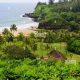 Visit Allerton Garden Kauai: A Tropical Paradise | The Ultimate Gardening Guide: Grow a Thriving Garden Year-Round