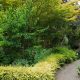 Your Western Hills Garden Oasis: Design & Tips | The Ultimate Gardening Guide: Grow a Thriving Garden Year-Round