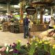 Plan Your Home: Lansing Home & Garden Show Tips + Ideas | The Ultimate Gardening Guide: Grow a Thriving Garden Year-Round