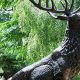Whimsical Garden Animal Sculptures: Your Outdoor Oasis | The Ultimate Gardening Guide: Grow a Thriving Garden Year-Round