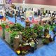 Your Guide to El Paso Home & Garden Show [Year] | The Ultimate Gardening Guide: Grow a Thriving Garden Year-Round