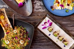 Grow Your Chef King Garden: Tips & Secrets The Ultimate Gardening Guide: Grow a Thriving Garden Year-Round Grow Your Chef King Garden: Tips & Secrets | The Ultimate Gardening Guide: Grow a Thriving Garden Year-Round