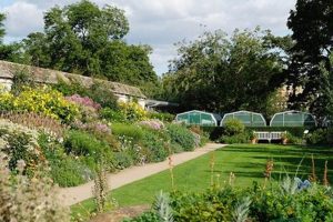 The Oxford Garden Guide: Ideas & Inspiration The Ultimate Gardening Guide: Grow a Thriving Garden Year-Round The Oxford Garden Guide: Ideas & Inspiration | The Ultimate Gardening Guide: Grow a Thriving Garden Year-Round