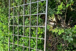 Buy Durable Metal Trellis for Garden: Enhance Your Garden! The Ultimate Gardening Guide: Grow a Thriving Garden Year-Round Buy Durable Metal Trellis for Garden: Enhance Your Garden! | The Ultimate Gardening Guide: Grow a Thriving Garden Year-Round