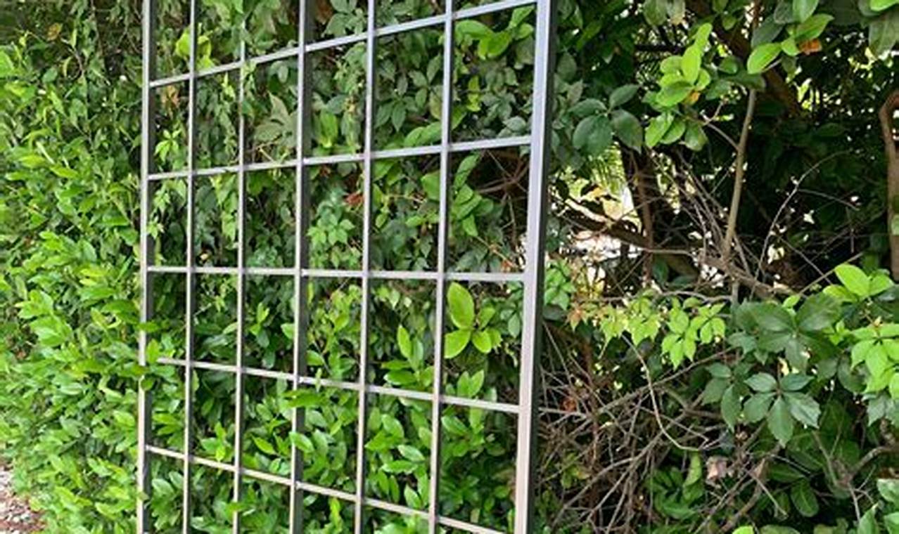 Buy Durable Metal Trellis for Garden: Enhance Your Garden! The Ultimate Gardening Guide: Grow a Thriving Garden Year-Round Buy Durable Metal Trellis for Garden: Enhance Your Garden! | The Ultimate Gardening Guide: Grow a Thriving Garden Year-Round