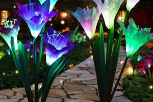 Illuminate Your Garden: Solar Lights & Decor The Ultimate Gardening Guide: Grow a Thriving Garden Year-Round Illuminate Your Garden: Solar Lights & Decor | The Ultimate Gardening Guide: Grow a Thriving Garden Year-Round