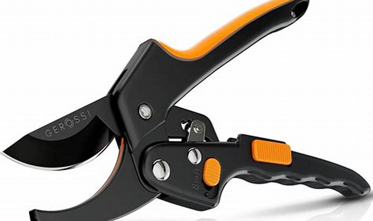 Best Garden Ratchet Pruners: Buyer's Guide & Reviews The Ultimate Gardening Guide: Grow a Thriving Garden Year-Round Best Garden Ratchet Pruners: Buyer's Guide & Reviews | The Ultimate Gardening Guide: Grow a Thriving Garden Year-Round