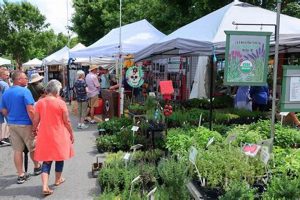 Your Garden: A Spring Garden Jubilee Celebration! | The Ultimate Gardening Guide: Grow a Thriving Garden Year-Round