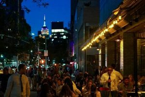 Best Bars Near Madison Square Garden NYC: The Ultimate Guide | The Ultimate Gardening Guide: Grow a Thriving Garden Year-Round