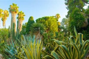 Discover Valencia Garden: A Spanish Oasis | The Ultimate Gardening Guide: Grow a Thriving Garden Year-Round