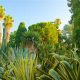 Discover Valencia Garden: A Spanish Oasis | The Ultimate Gardening Guide: Grow a Thriving Garden Year-Round