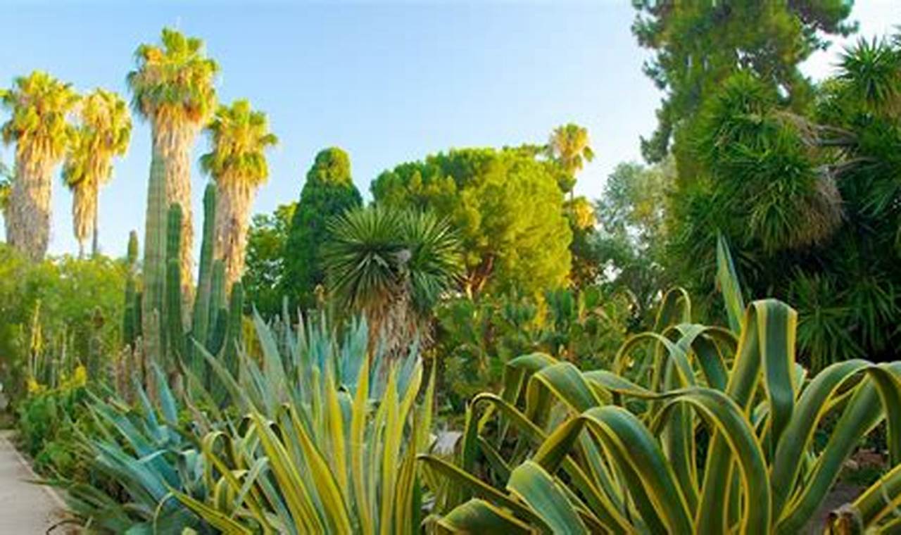 Discover Valencia Garden: A Spanish Oasis The Ultimate Gardening Guide: Grow a Thriving Garden Year-Round Discover Valencia Garden: A Spanish Oasis | The Ultimate Gardening Guide: Grow a Thriving Garden Year-Round