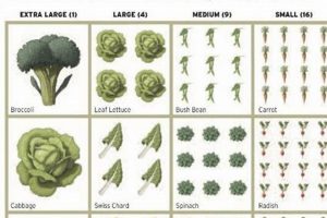 Discover Garden Squares: Urban Oasis Guide The Ultimate Gardening Guide: Grow a Thriving Garden Year-Round Discover Garden Squares: Urban Oasis Guide | The Ultimate Gardening Guide: Grow a Thriving Garden Year-Round