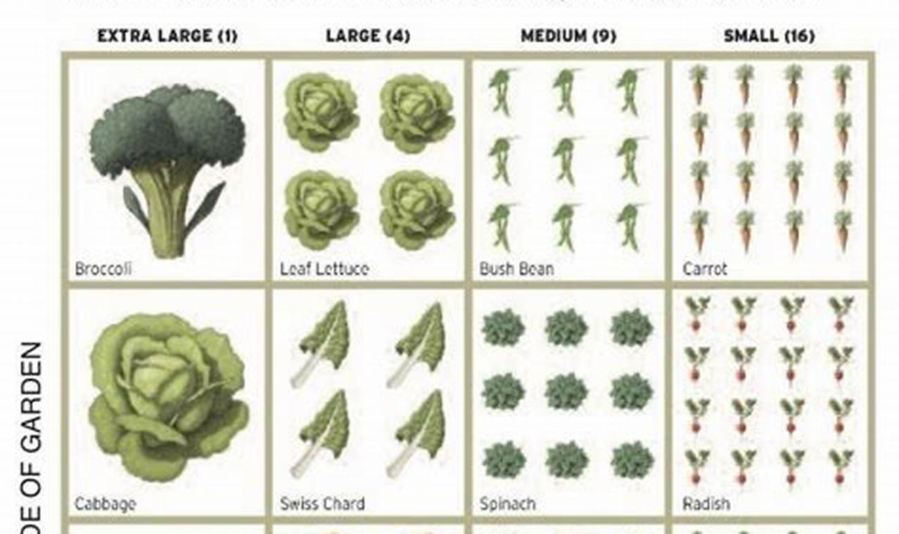 Discover Garden Squares: Urban Oasis Guide | The Ultimate Gardening Guide: Grow a Thriving Garden Year-Round