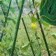Grow Strong: Best Garden Trellis Nets for Climbing Plants | The Ultimate Gardening Guide: Grow a Thriving Garden Year-Round