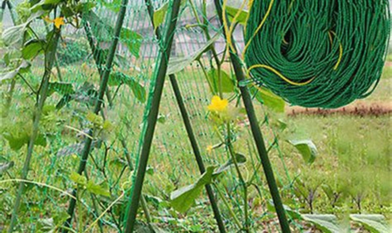 Grow Strong: Best Garden Trellis Nets for Climbing Plants | The Ultimate Gardening Guide: Grow a Thriving Garden Year-Round