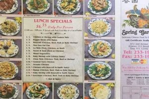 Discover Spring Gardens in Troy NY: Bloom Guide & Tips | The Ultimate Gardening Guide: Grow a Thriving Garden Year-Round