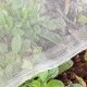 Best Bug Netting for Gardens: Protect Your Plants Now! | The Ultimate Gardening Guide: Grow a Thriving Garden Year-Round