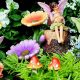 Best Fairy Garden Flowers: Miniature Blooms & More! | The Ultimate Gardening Guide: Grow a Thriving Garden Year-Round