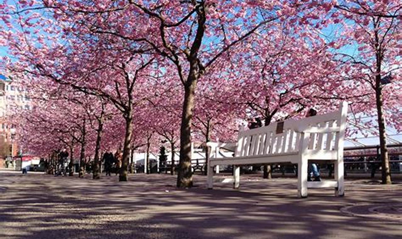 Visit King's Garden Stockholm: A Royal Oasis The Ultimate Gardening Guide: Grow a Thriving Garden Year-Round Visit King's Garden Stockholm: A Royal Oasis | The Ultimate Gardening Guide: Grow a Thriving Garden Year-Round