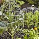 Protect Plants: Garden Cloches for Thriving Gardens | The Ultimate Gardening Guide: Grow a Thriving Garden Year-Round