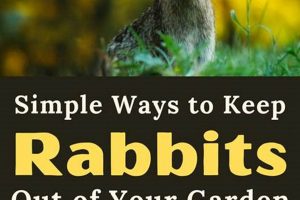 Stop Rabbits! How to Keep Rabbits Out of Your Garden Today The Ultimate Gardening Guide: Grow a Thriving Garden Year-Round Stop Rabbits! How to Keep Rabbits Out of Your Garden Today | The Ultimate Gardening Guide: Grow a Thriving Garden Year-Round