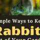 Stop Rabbits! How to Keep Rabbits Out of Your Garden Today | The Ultimate Gardening Guide: Grow a Thriving Garden Year-Round
