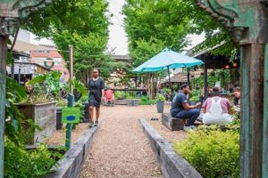 Visit the PHS Pop Up Garden at South Street: A Green Oasis! The Ultimate Gardening Guide: Grow a Thriving Garden Year-Round Visit the PHS Pop Up Garden at South Street: A Green Oasis! | The Ultimate Gardening Guide: Grow a Thriving Garden Year-Round