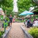 Visit the PHS Pop Up Garden at South Street: A Green Oasis! | The Ultimate Gardening Guide: Grow a Thriving Garden Year-Round