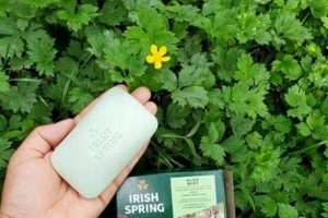 Using Irish Spring Soap in the Garden: Is it Worth It? The Ultimate Gardening Guide: Grow a Thriving Garden Year-Round Using Irish Spring Soap in the Garden: Is it Worth It? | The Ultimate Gardening Guide: Grow a Thriving Garden Year-Round