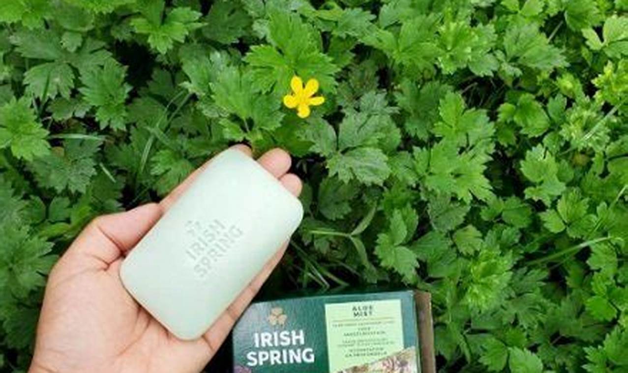 Using Irish Spring Soap in the Garden: Is it Worth It? | The Ultimate Gardening Guide: Grow a Thriving Garden Year-Round