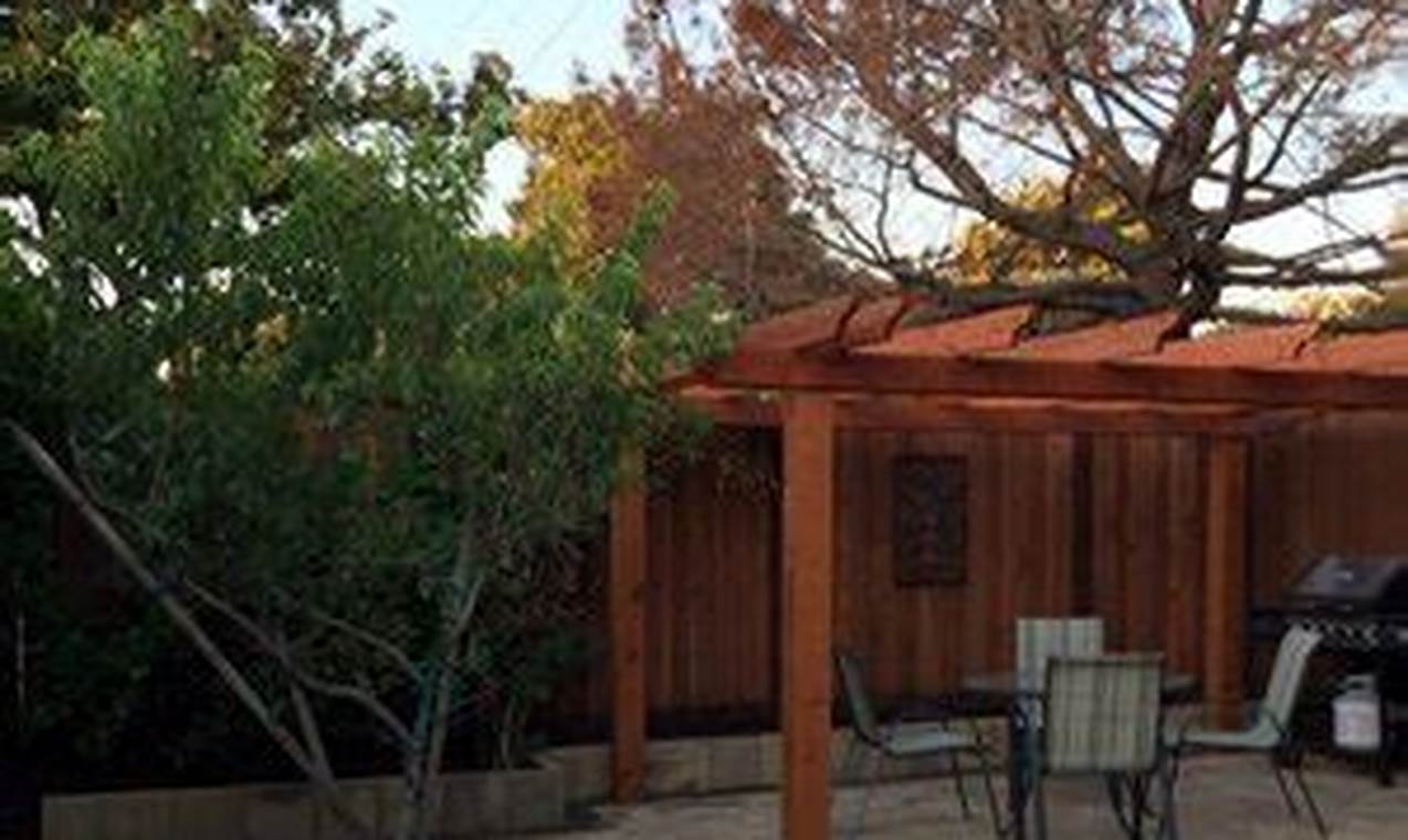 Your Garden Supply San Carlos Guide: Tips &amp; More! | The Ultimate Gardening Guide: Grow a Thriving Garden Year-Round