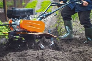 Top Tillers: Finding the Best Tiller for Large Garden Use The Ultimate Gardening Guide: Grow a Thriving Garden Year-Round Top Tillers: Finding the Best Tiller for Large Garden Use | The Ultimate Gardening Guide: Grow a Thriving Garden Year-Round
