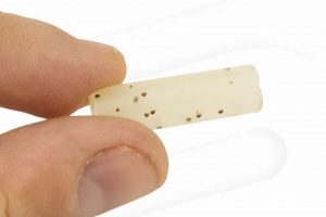 Raw Garden Tips: Maximize Your Cartridge + Guide The Ultimate Gardening Guide: Grow a Thriving Garden Year-Round Raw Garden Tips: Maximize Your Cartridge + Guide | The Ultimate Gardening Guide: Grow a Thriving Garden Year-Round