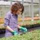 Local Garden Nursery Jobs Near Me: Grow Your Career! | The Ultimate Gardening Guide: Grow a Thriving Garden Year-Round