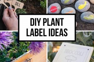 Durable Plant Labels for the Garden: ID Made Easy The Ultimate Gardening Guide: Grow a Thriving Garden Year-Round Durable Plant Labels for the Garden: ID Made Easy | The Ultimate Gardening Guide: Grow a Thriving Garden Year-Round