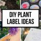 Durable Plant Labels for the Garden: ID Made Easy | The Ultimate Gardening Guide: Grow a Thriving Garden Year-Round