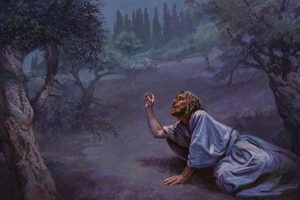 Discover Jesus' Prayer at the Garden: Meaning & Lessons The Ultimate Gardening Guide: Grow a Thriving Garden Year-Round Discover Jesus' Prayer at the Garden: Meaning & Lessons | The Ultimate Gardening Guide: Grow a Thriving Garden Year-Round