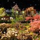 Discover Boston Flower & Garden Show: A Blooming Guide | The Ultimate Gardening Guide: Grow a Thriving Garden Year-Round