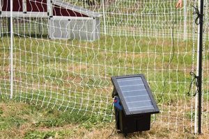 Protect Garden: Solar Electric Fence Solutions (DIY) The Ultimate Gardening Guide: Grow a Thriving Garden Year-Round Protect Garden: Solar Electric Fence Solutions (DIY) | The Ultimate Gardening Guide: Grow a Thriving Garden Year-Round