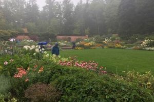 Visit: Abby Rockefeller Garden Maine A Coastal Paradise The Ultimate Gardening Guide: Grow a Thriving Garden Year-Round Visit: Abby Rockefeller Garden Maine A Coastal Paradise | The Ultimate Gardening Guide: Grow a Thriving Garden Year-Round