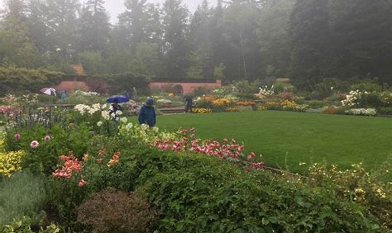 Visit: Abby Rockefeller Garden Maine A Coastal Paradise The Ultimate Gardening Guide: Grow a Thriving Garden Year-Round Visit: Abby Rockefeller Garden Maine A Coastal Paradise | The Ultimate Gardening Guide: Grow a Thriving Garden Year-Round