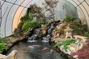 Create a Stunning Live Koi Fish Garden Pond Oasis! The Ultimate Gardening Guide: Grow a Thriving Garden Year-Round Create a Stunning Live Koi Fish Garden Pond Oasis! | The Ultimate Gardening Guide: Grow a Thriving Garden Year-Round