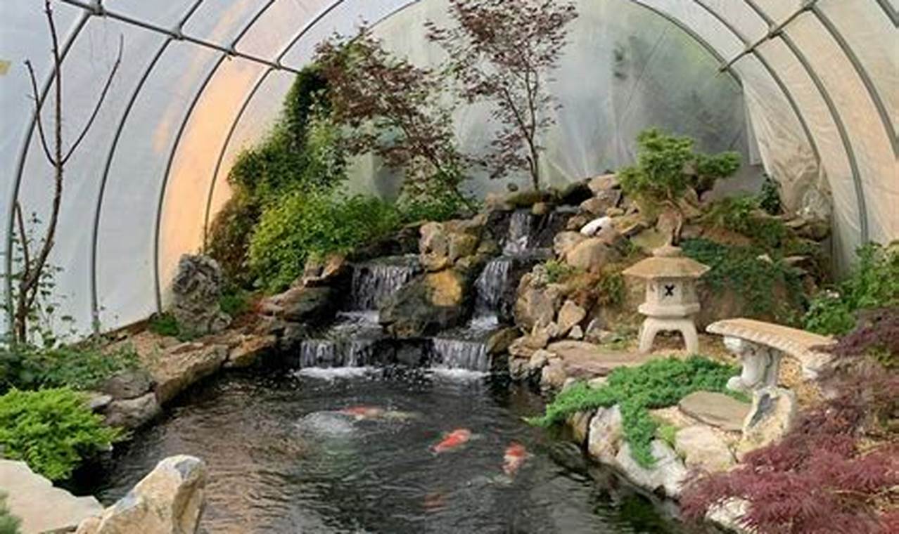 Create a Stunning Live Koi Fish Garden Pond Oasis! The Ultimate Gardening Guide: Grow a Thriving Garden Year-Round Create a Stunning Live Koi Fish Garden Pond Oasis! | The Ultimate Gardening Guide: Grow a Thriving Garden Year-Round