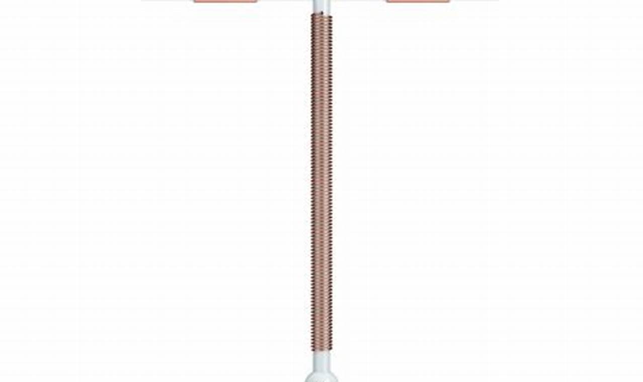 Para Gard | The Ultimate Gardening Guide: Grow a Thriving Garden Year-Round