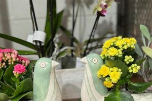 Visit Bloom Garden Shop Today! Your Local Blooms | The Ultimate Gardening Guide: Grow a Thriving Garden Year-Round