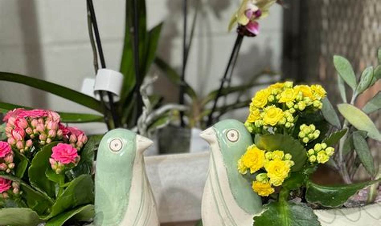 Visit Bloom Garden Shop Today! Your Local Blooms | The Ultimate Gardening Guide: Grow a Thriving Garden Year-Round